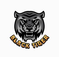 Black Tiger Software